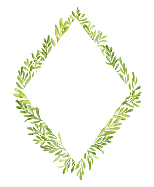 水彩绿叶菱形框架。手绘几何模板与茶树植物孤立在白色的背景。彩绘草药请帖,卡片,保存日期,婚礼,打印。图片 水彩绿叶菱形框架。手绘几何模板与茶树植物孤立在白色的背景。彩绘草药请帖,卡片,保存日期,婚礼,打印。图片下载