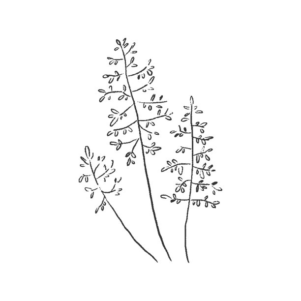 简单的矢量花卉图标。手绘野花。图片 简单的矢量花卉图标。手绘野花。图片下载