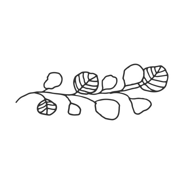 向量简单的花卉图标。手画的带叶子的树枝。图片 向量简单的花卉图标。手画的带叶子的树枝。图片下载
