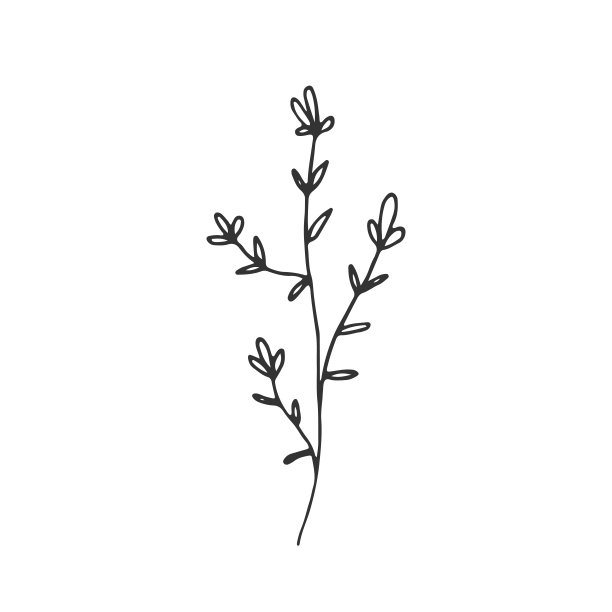 有叶子和花的树枝。手绘简单的花卉图标。矢量插图。图片 有叶子和花的树枝。手绘简单的花卉图标。矢量插图。图片下载