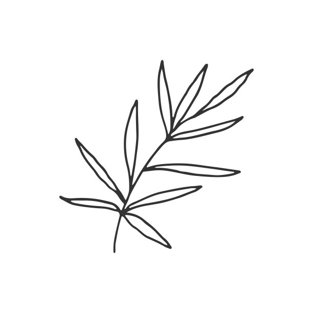 有叶子的树枝。矢量手绘简单的花卉图标。图片 有叶子的树枝。矢量手绘简单的花卉图标。图片下载