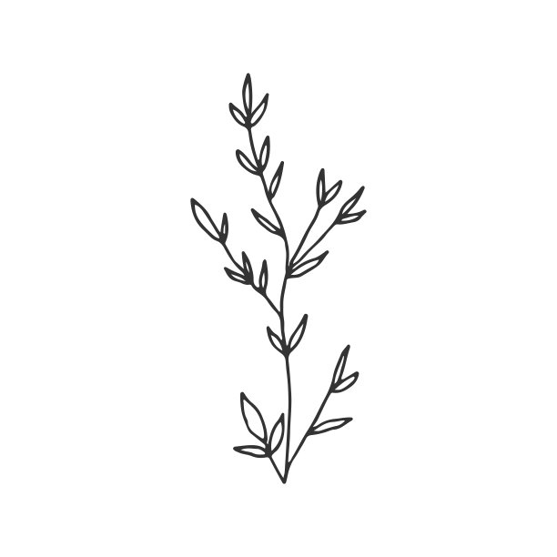手绘简单的花卉图标。矢量插图。带叶子的树枝剪影。图片 手绘简单的花卉图标。矢量插图。带叶子的树枝剪影。图片下载