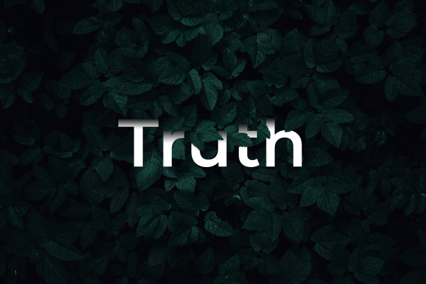 叶图案与词真理在黑色的背景图片 叶图案与词真理在黑色的背景图片下载