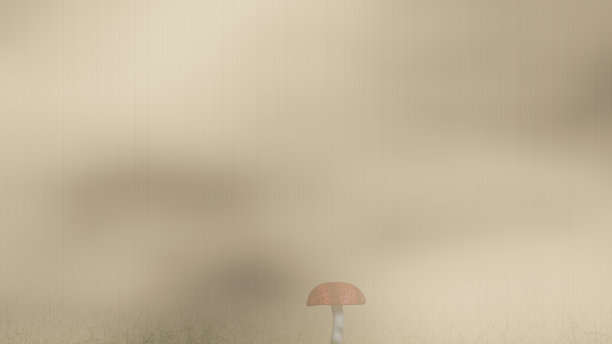 雾和雨笼罩着红蘑菇图片 雾和雨笼罩着红蘑菇图片下载