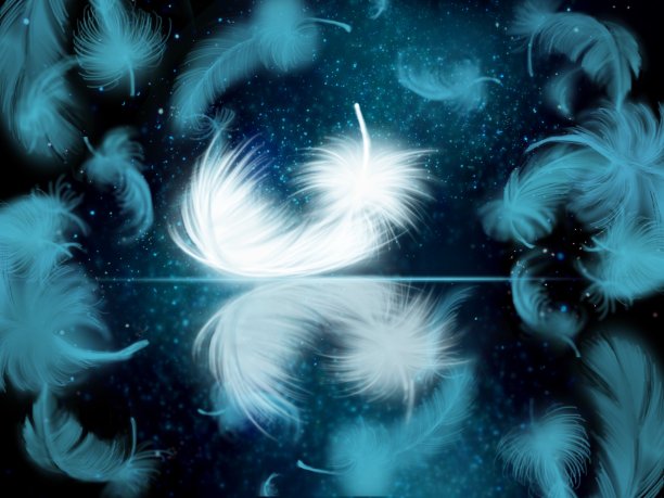 星空中蓬松美丽的羽毛墙纸图片 星空中蓬松美丽的羽毛墙纸图片下载