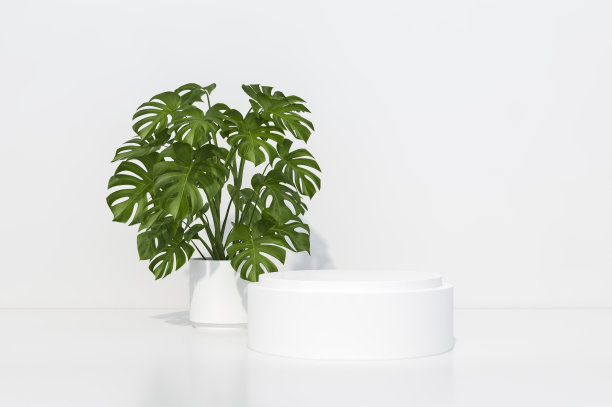 产品显示几何裙台装饰着热带树的白色背景3d渲染。3d插图模板美容化妆品产品简约风格的概念。图片 产品显示几何裙台装饰着热带树的白色背景3d渲染。3d插图模板美容化妆品产品简约风格的概念。图片下载