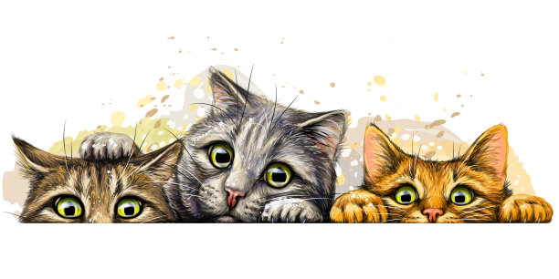 猫墙贴纸图形彩色手绘图片 猫墙贴纸图形彩色手绘图片下载