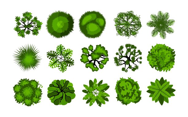 从上面的树。俯视图为建筑和景观规划的灌木,公园和森林的航空地图元素,绿色植物现代生态对象向量孤立集合图片 从上面的树。俯视图为建筑和景观规划的灌木,公园和森林的航空地图元素,绿色植物现代生态对象向量孤立集合图片下载