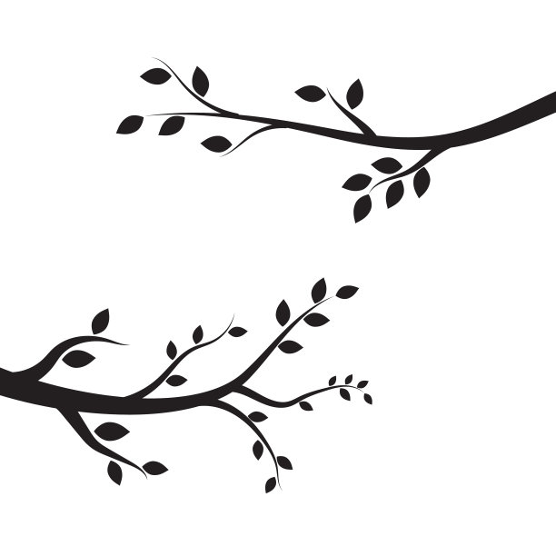 树枝插图设计图片 树枝插图设计图片下载