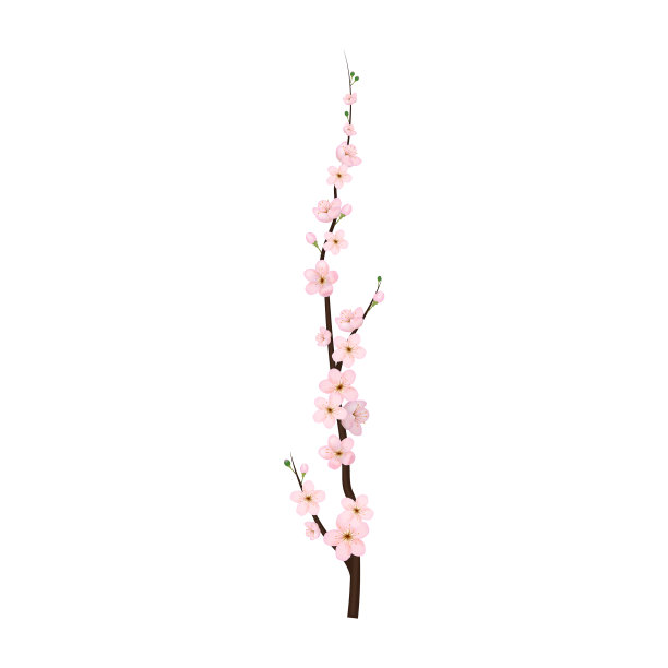 逼真的3d细节盛开的樱花图片 逼真的3d细节盛开的樱花图片下载