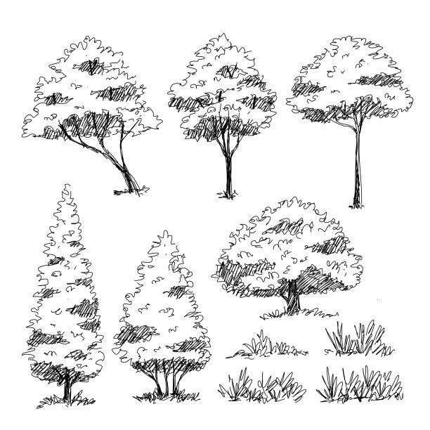 树素描手绘建筑师图片 树素描手绘建筑师图片下载