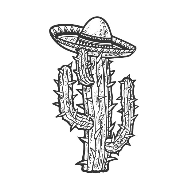 仙人掌素描上的草帽图片 仙人掌素描上的草帽图片下载