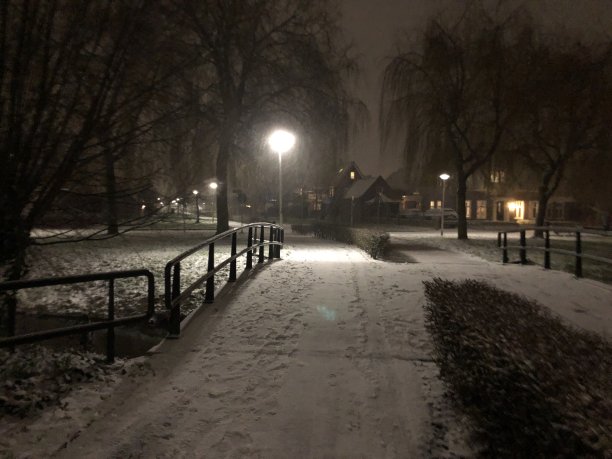 荷兰的雪图片 荷兰的雪图片下载