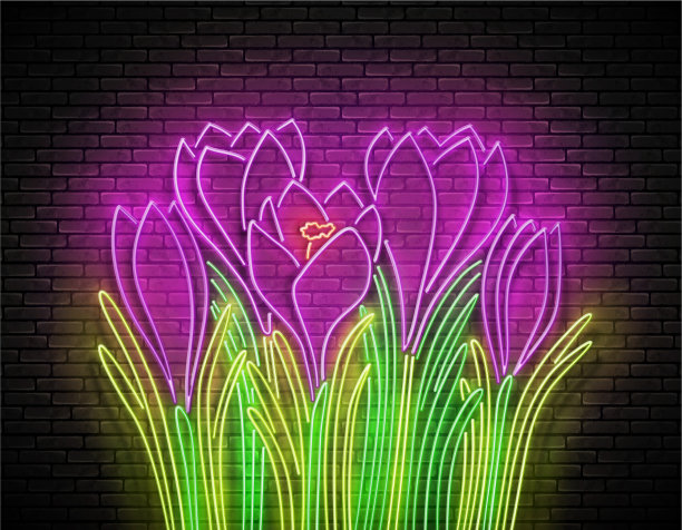 辉光花束番红花贺卡模板图片 辉光花束番红花贺卡模板图片下载