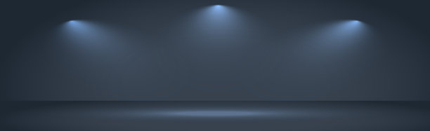 白色和黑色全景背景与白色聚光灯-向量图片 白色和黑色全景背景与白色聚光灯-向量图片下载