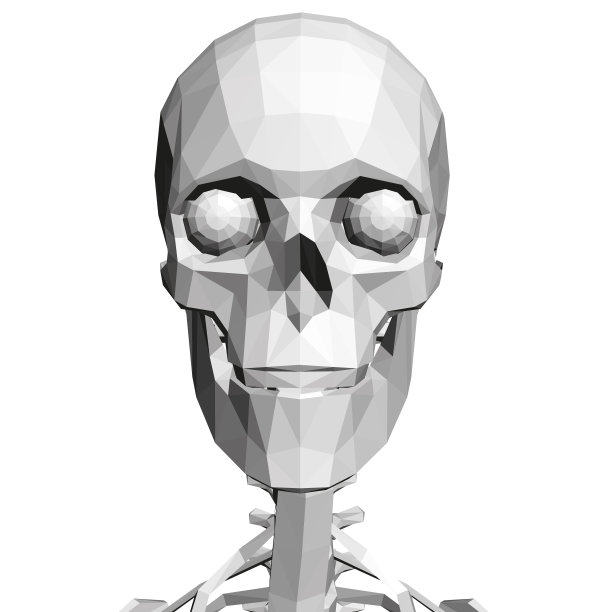 低聚颅骨与人类脊柱。前视图。3 d。矢量图图片 低聚颅骨与人类脊柱。前视图。3 d。矢量图图片下载