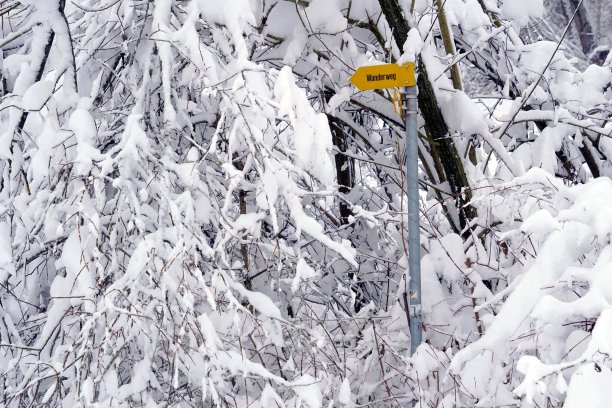 冬季风景详实,树枝上覆盖着厚厚的积雪,黄色路标上镌刻着德语徒步小径。图片 冬季风景详实,树枝上覆盖着厚厚的积雪,黄色路标上镌刻着德语徒步小径。图片下载