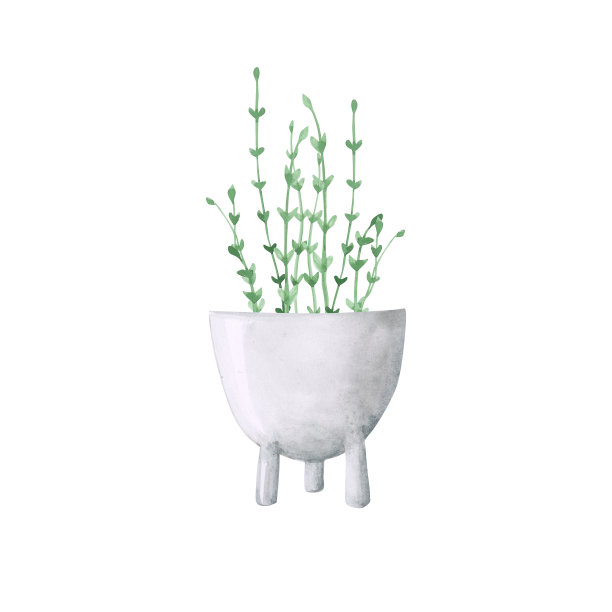 绿色水彩盆栽植物孤立在白色的背景。花盆里的手绘花。为你的设计做植物学插图。绿色植物的剪纸艺术。家工厂印刷。Pothos花。现代家居花园对象。图片 绿色水彩盆栽植物孤立在白色的背景。花盆里的手绘花。为你的设计做植物学插图。绿色植物的剪纸艺术。家工厂印刷。Pothos花。现代家居花园对象。图片下载