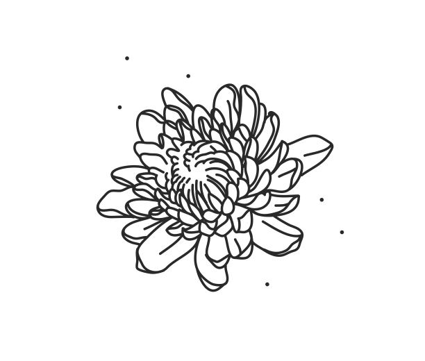 手绘矢量抽象股票平面图形插图与标志元素线花艺术菊花在简单的风格为品牌,孤立在白色的背景图片 手绘矢量抽象股票平面图形插图与标志元素线花艺术菊花在简单的风格为品牌,孤立在白色的背景图片下载