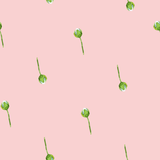 水彩无缝小花椒花蕾图案。危害Bursa-Pastoris。药用草地鲜花。野生治疗药草,植物花纹理在粉红色的背景。用于纺织品,包装,壁纸。图片 水彩无缝小花椒花蕾图案。危害Bursa-Pastoris。药用草地鲜花。野生治疗药草,植物花纹理在粉红色的背景。用于纺织品,包装,壁纸。图片下载