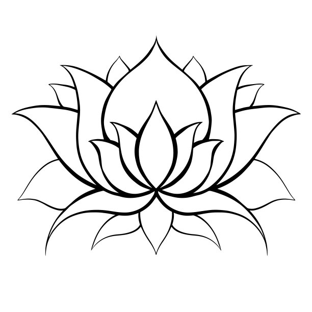 概述莲花。精致的花。水疗和瑜伽的天然神圣象征。矢量等高线莉莉图片 概述莲花。精致的花。水疗和瑜伽的天然神圣象征。矢量等高线莉莉图片下载