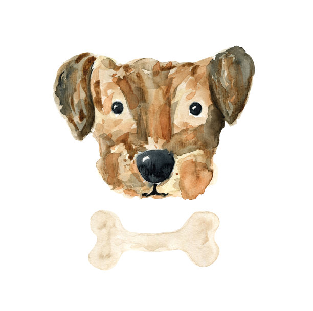 可爱的素描棕色水彩狗插图图片 可爱的素描棕色水彩狗插图图片下载
