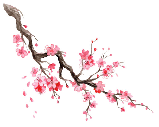 日本樱花枝水彩手绘插画图片 日本樱花枝水彩手绘插画图片下载