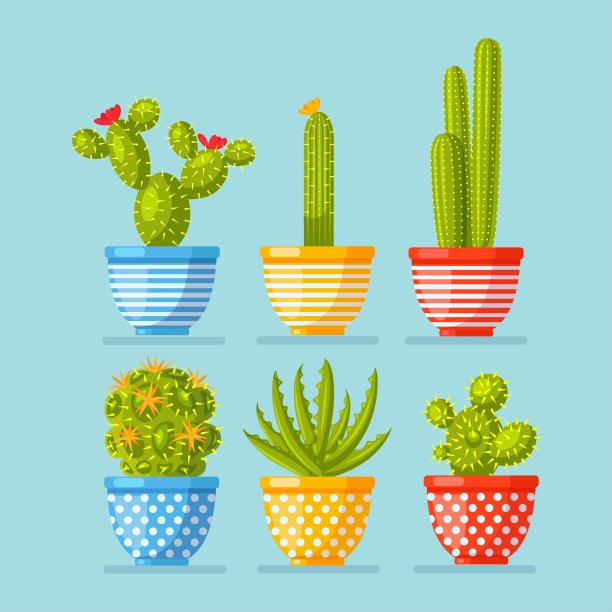 一组仙人掌植物在花盆。矢量插图图片 一组仙人掌植物在花盆。矢量插图图片下载
