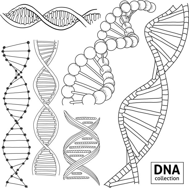 用手绘的DNA结构设置图片 用手绘的DNA结构设置图片下载