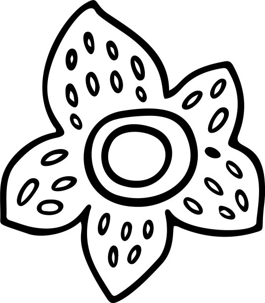 热带槐花轮廓剪影图片 热带槐花轮廓剪影图片下载