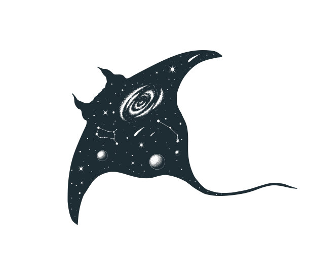 手绘矢量孤立的天体黄貂鱼插图。拥有银河、星星、星座、月亮和行星的神秘动物。图片 手绘矢量孤立的天体黄貂鱼插图。拥有银河、星星、星座、月亮和行星的神秘动物。图片下载