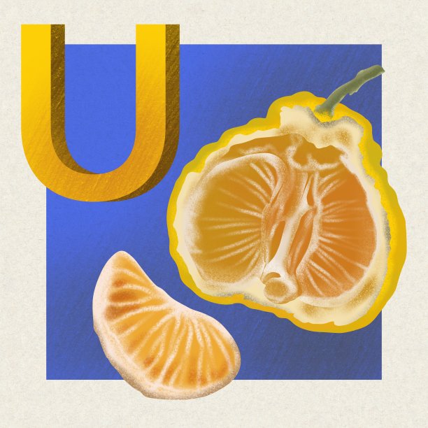 手绘纹理可爱的水果字母U字母与丑陋的水果插图。用于印刷、织物、卡片、海报、学校、幼儿园、儿童教育、儿童书籍、宣传册图片 手绘纹理可爱的水果字母U字母与丑陋的水果插图。用于印刷、织物、卡片、海报、学校、幼儿园、儿童教育、儿童书籍、宣传册图片下载