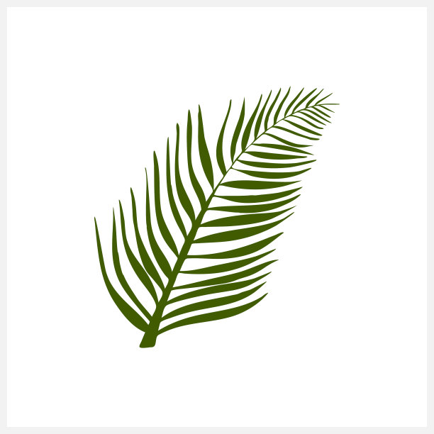 涂鸦叶棕榈图标孤立在白色图片 涂鸦叶棕榈图标孤立在白色图片下载