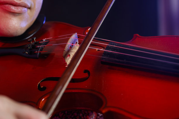 年轻人拿着小提琴,背景是黑色的图片 年轻人拿着小提琴,背景是黑色的图片下载