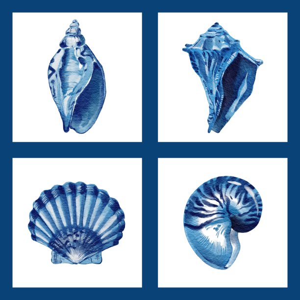 装饰海报的蓝色贝壳。海贝壳水彩手绘插图集孤立在白色背景旗帜,海报,印刷,明信片,纺织品,模板,卡片,邀请图片 装饰海报的蓝色贝壳。海贝壳水彩手绘插图集孤立在白色背景旗帜,海报,印刷,明信片,纺织品,模板,卡片,邀请图片下载