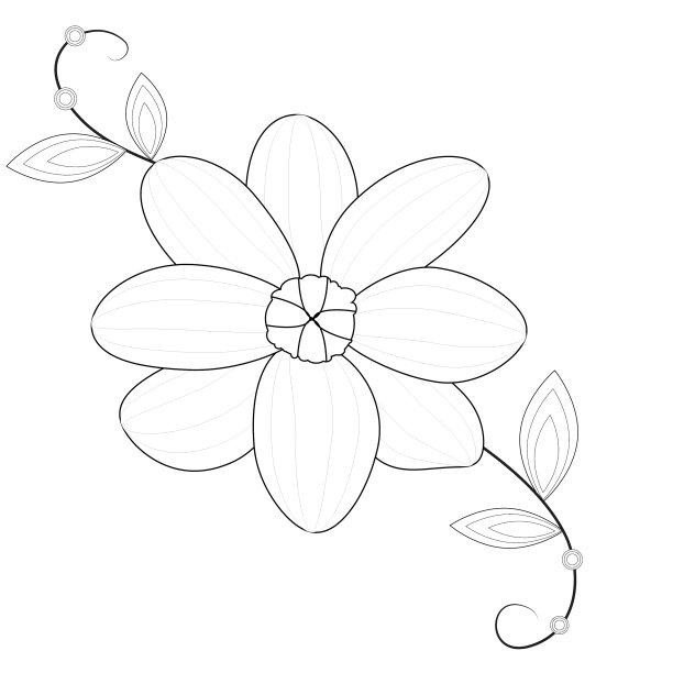 花线艺术图片上的白色背景图片 花线艺术图片上的白色背景图片下载