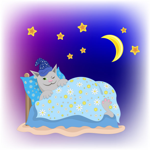 猫夜1图片 猫夜1图片下载