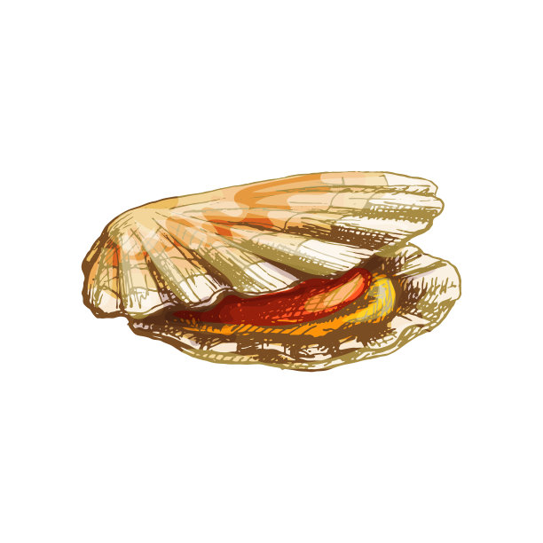 ÐакNка壳牌scallopдвеNвоNкипоÐ。NаNкNNе图片 ÐакNка壳牌scallopдвеNвоNкипоÐ。NаNкNNе图片下载