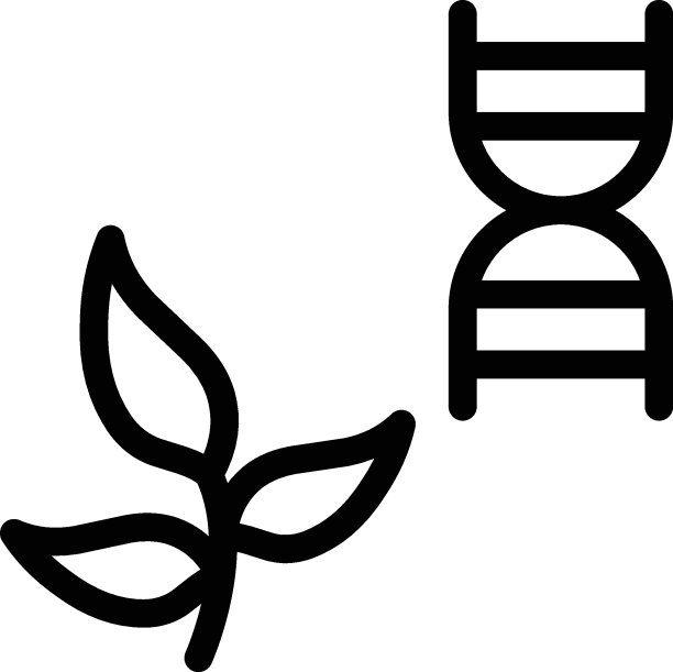 太太图片 太太图片下载