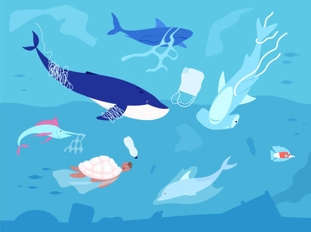 海洋塑料污染海洋塑料动物图片 海洋塑料污染海洋塑料动物图片下载