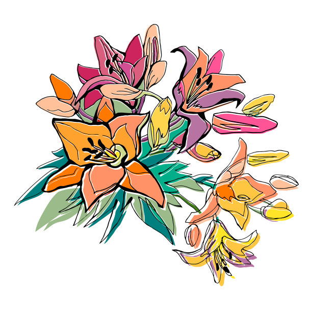 鲜花贺卡与五颜六色的花束手图片 鲜花贺卡与五颜六色的花束手图片下载