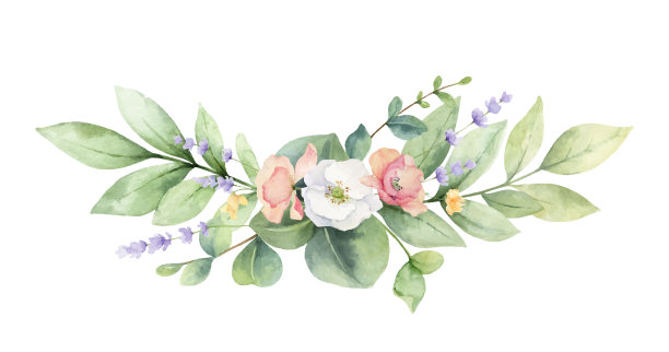 水彩花环的绿色树枝和野花孤立在一个白色的背景。花手绘插图贺卡,婚礼请柬,横幅与文字空间和更多。图片 水彩花环的绿色树枝和野花孤立在一个白色的背景。花手绘插图贺卡,婚礼请柬,横幅与文字空间和更多。图片下载