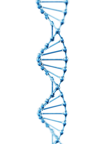 DNA在白色背景下的分离图片 DNA在白色背景下的分离图片下载