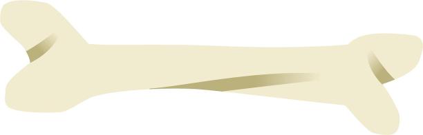 手绘插画风格西方节日万圣节氛围点缀骨头装饰元素图片 手绘插画风格西方节日万圣节氛围点缀骨头装饰元素图片下载