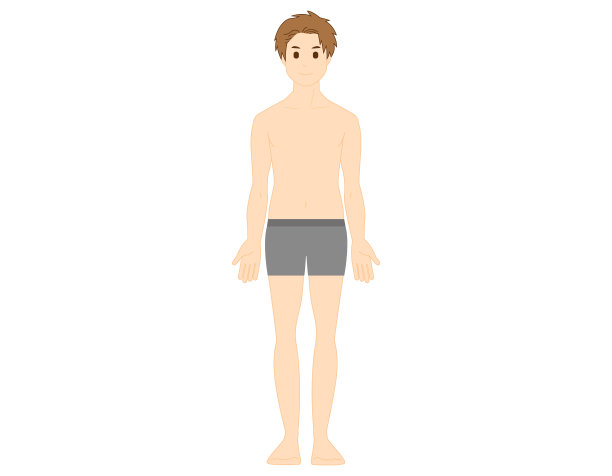 一个男人的全身插图。美。矢量插图。图片 一个男人的全身插图。美。矢量插图。图片下载