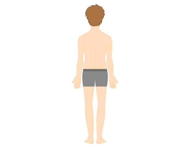 一个男人的全身插图。美。矢量插图。图片 一个男人的全身插图。美。矢量插图。图片下载