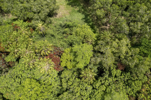无人机空中景观图片 无人机空中景观图片下载