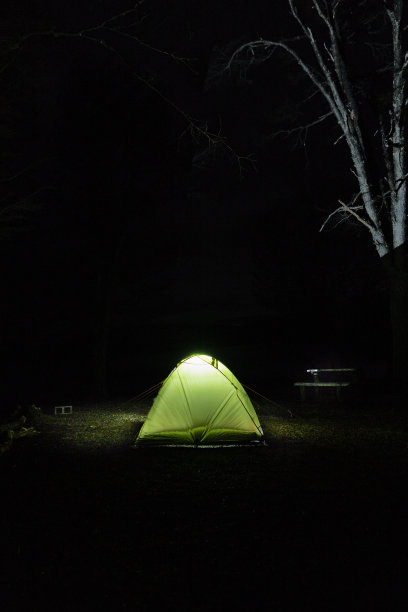 在完全黑暗的夜晚背景上的照明帐篷。附近树木的细节图片 在完全黑暗的夜晚背景上的照明帐篷。附近树木的细节图片下载
