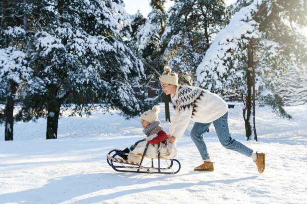 在阳光明媚的冬日,母亲和她可爱的小儿子在滑雪橇上玩耍图片 在阳光明媚的冬日,母亲和她可爱的小儿子在滑雪橇上玩耍图片下载