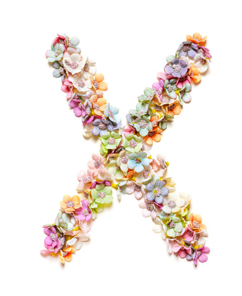 字母x。花的字母。一组花字母孤立在白色上。花字体。图片 字母x。花的字母。一组花字母孤立在白色上。花字体。图片下载